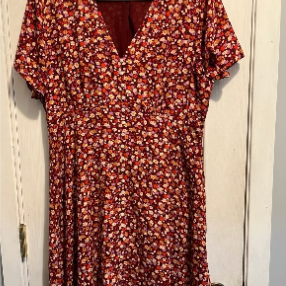 Madewell Button Front Mini Dress Spring Prairie Floral